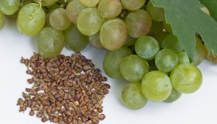 DCD® Grape Seed
